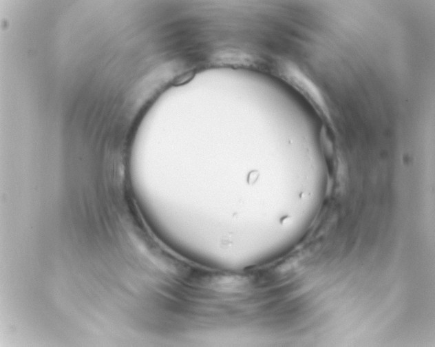 X0000088640059200706151953