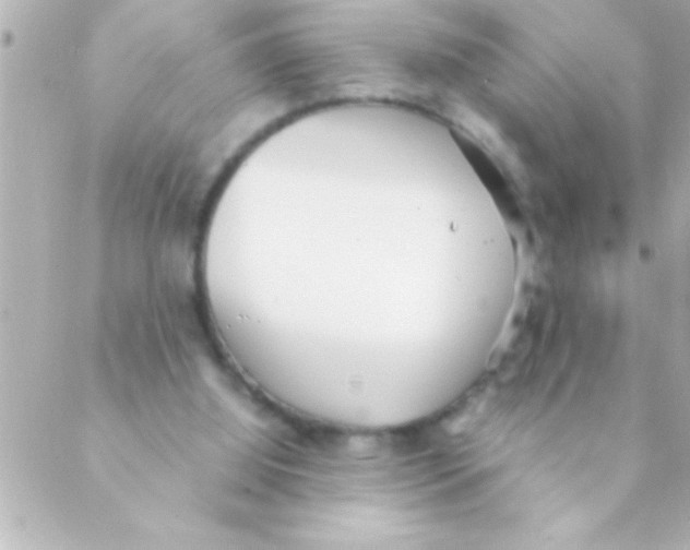 X0000088640060200706151953