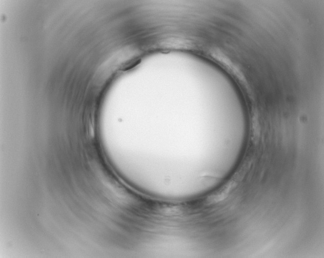 X0000088640062200706151953