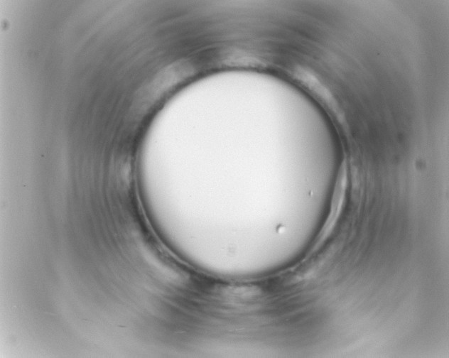 X0000088640063200706151953