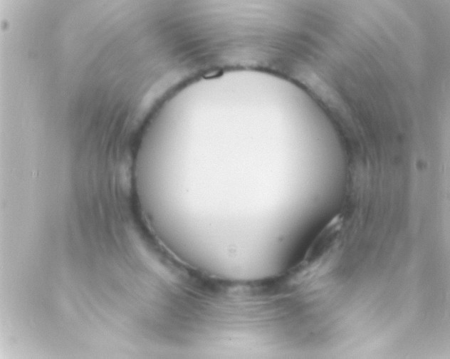 X0000088640064200706151953