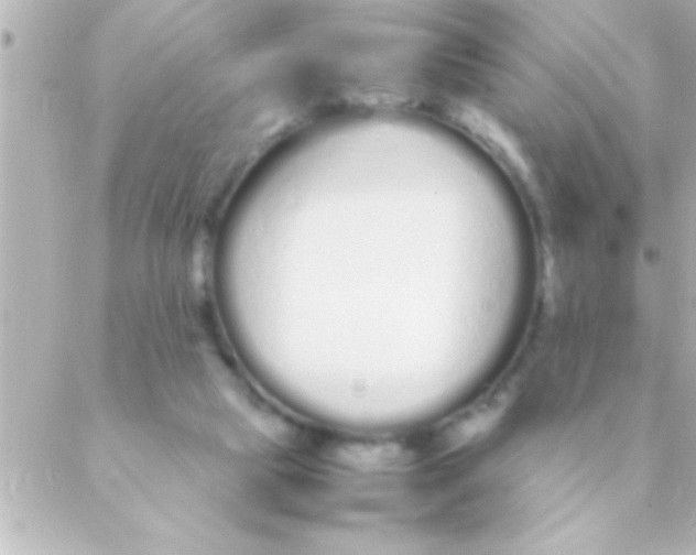 X0000088640065200706151953