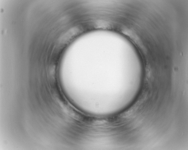 X0000088640066200706151953