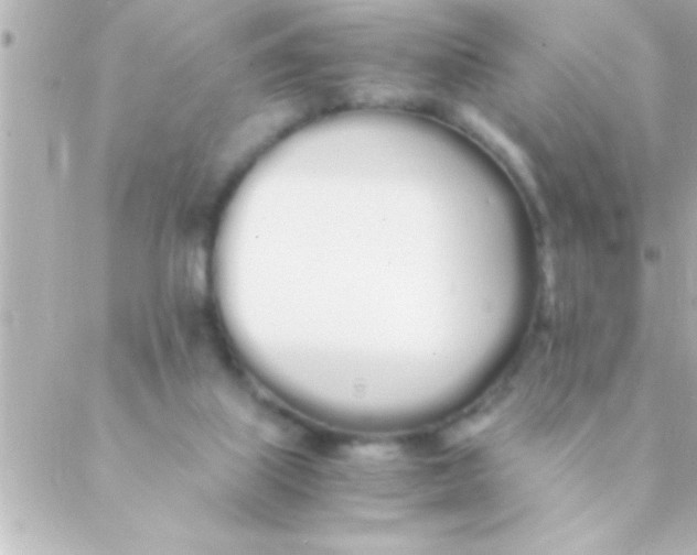 X0000088640067200706151953