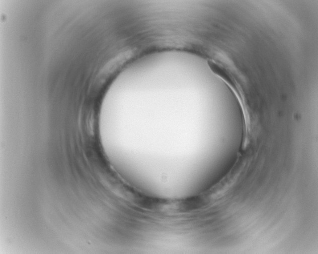 X0000088640068200706151953