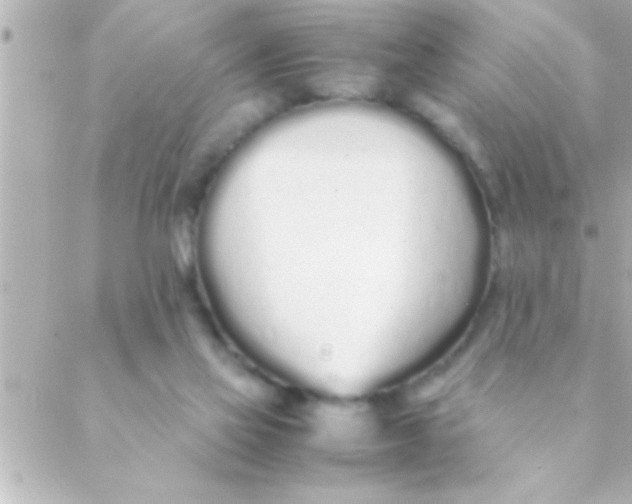 X0000088640069200706151953