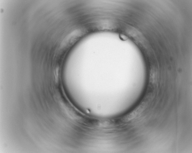 X0000088640070200706151953