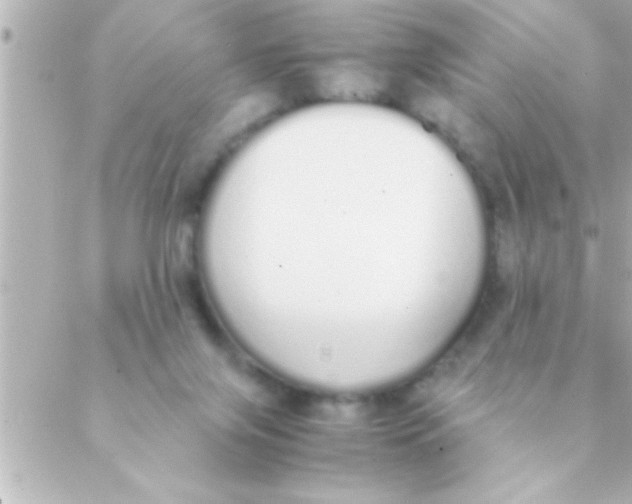 X0000088640071200706151953