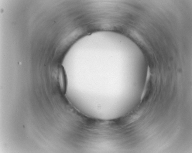 X0000088640072200706151953