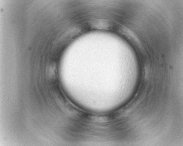 X0000088640073200706151953