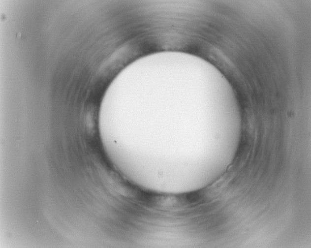 X0000088640074200706151953