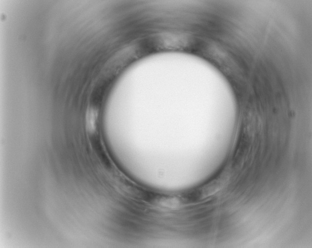 X0000088640075200706151953