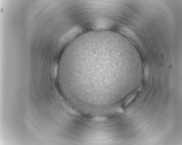 X0000088640076200706151953