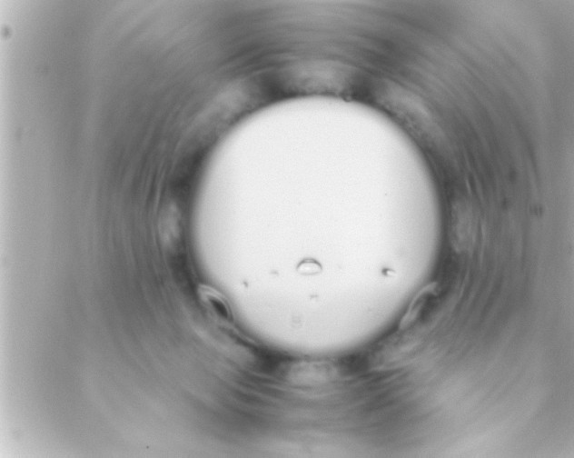 X0000088640077200706151953