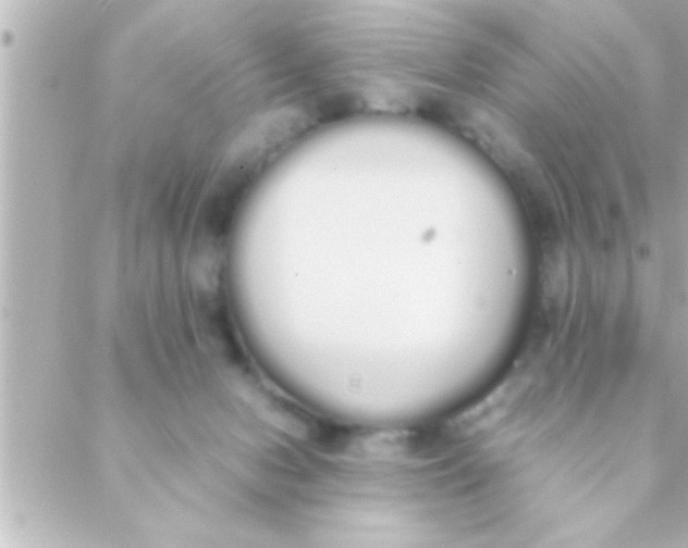 X0000088640078200706151953