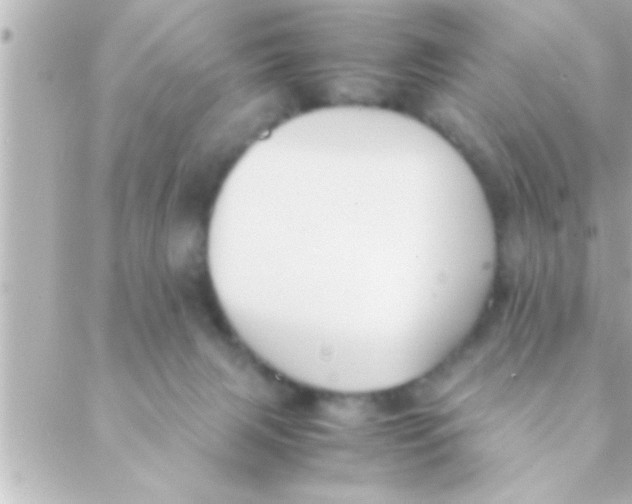 X0000088640079200706151953