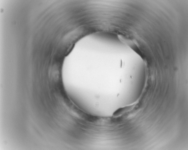 X0000088640080200706151953