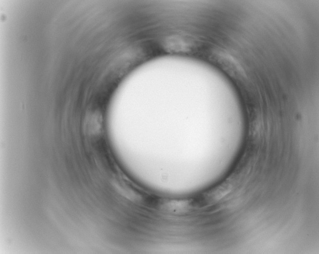 X0000088640081200706151953