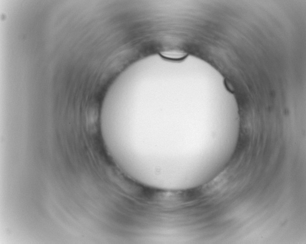 X0000088640082200706151953