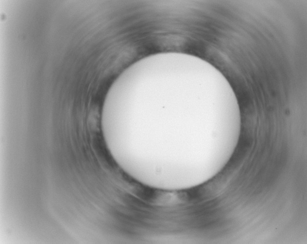 X0000088640083200706151953