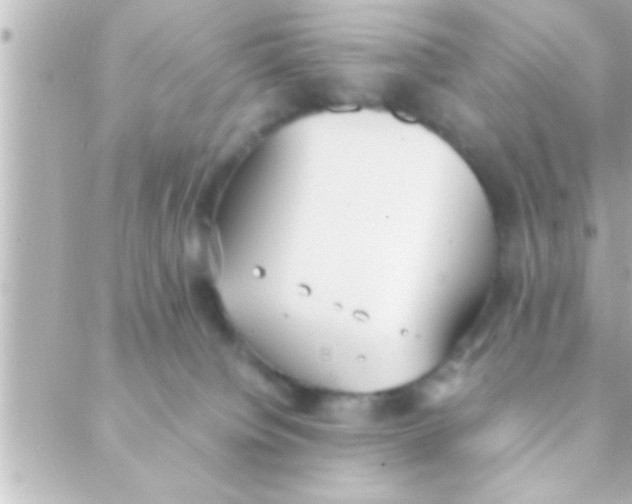 X0000088640084200706151953