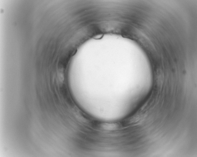 X0000088640085200706151953