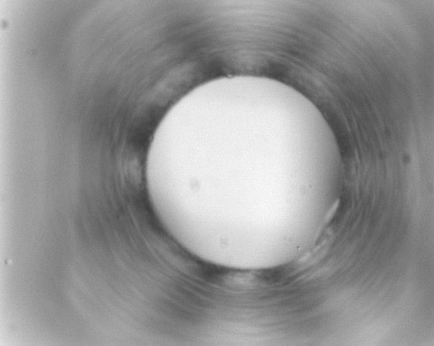 X0000088640086200706151953