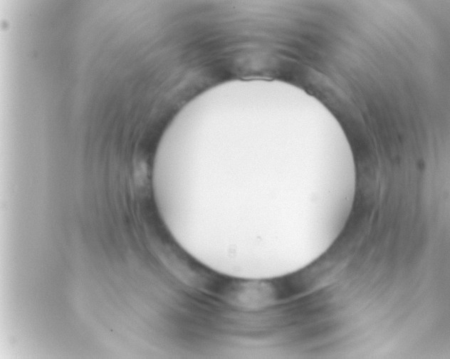 X0000088640087200706151953