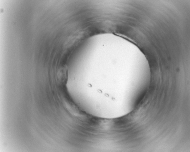 X0000088640088200706151953