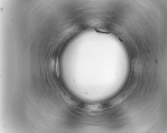 X0000088640089200706151953