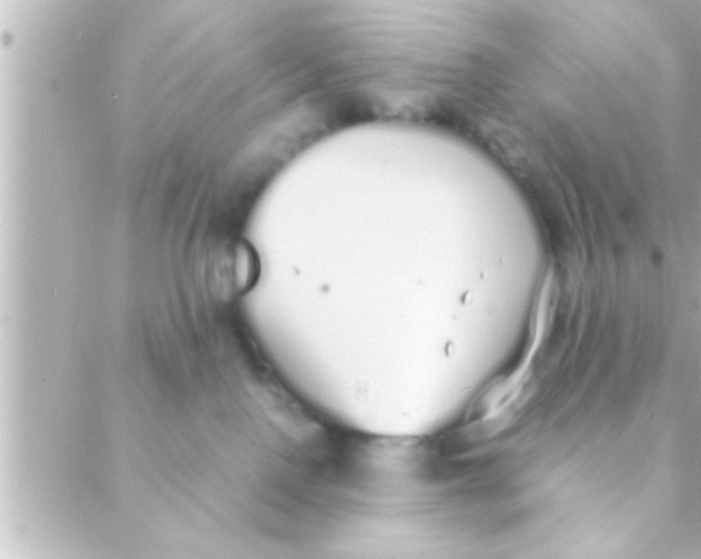 X0000088640090200706151953