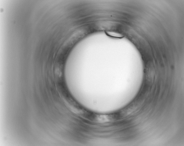 X0000088640091200706151953