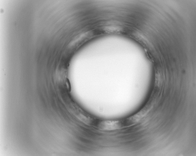 X0000088640093200706151953