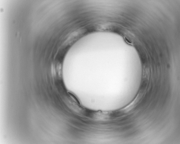 X0000088640094200706151953