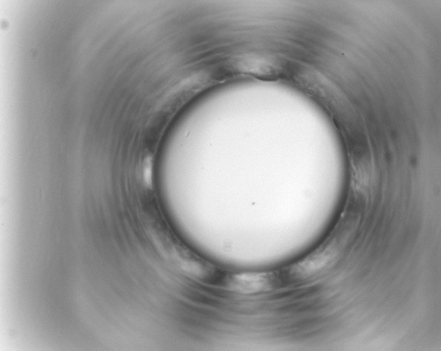 X0000088640095200706151953