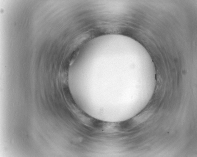 X0000088640096200706151953