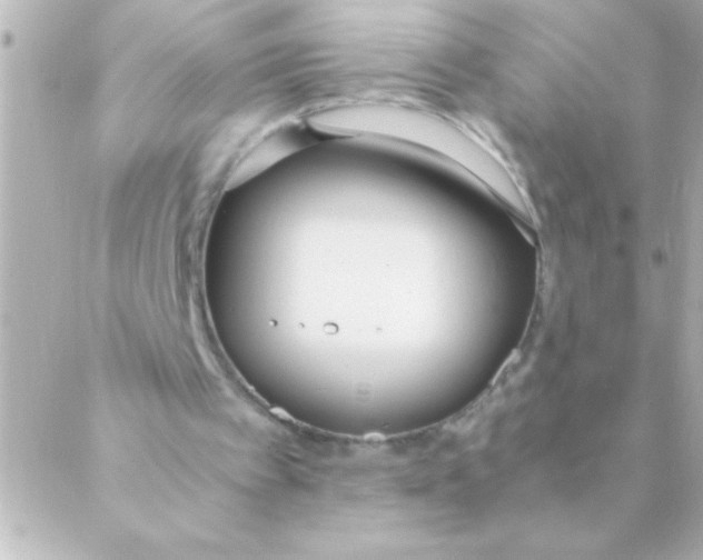 X0000088640097200706151952