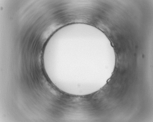 X0000088640098200706151952