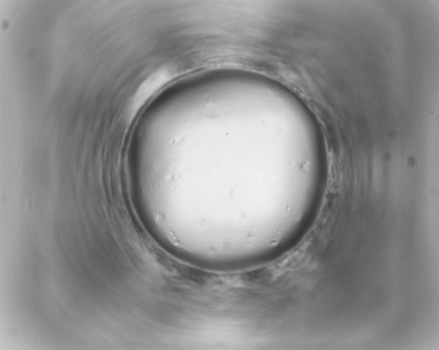 X0000088640099200706151952