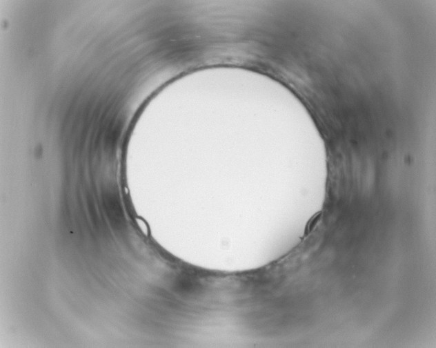 X0000088640100200706151952