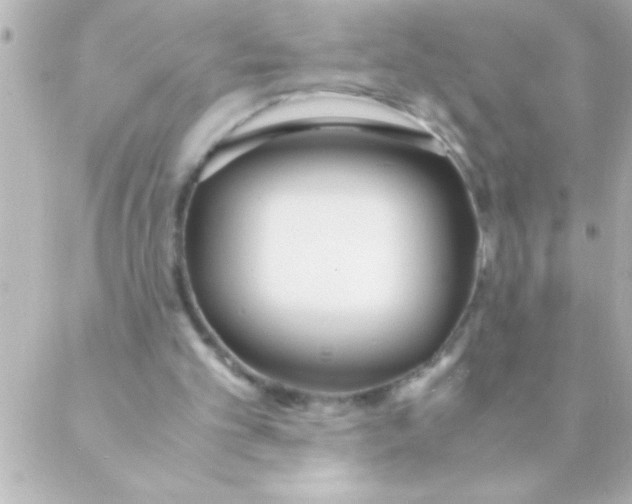 X0000088640101200706151952