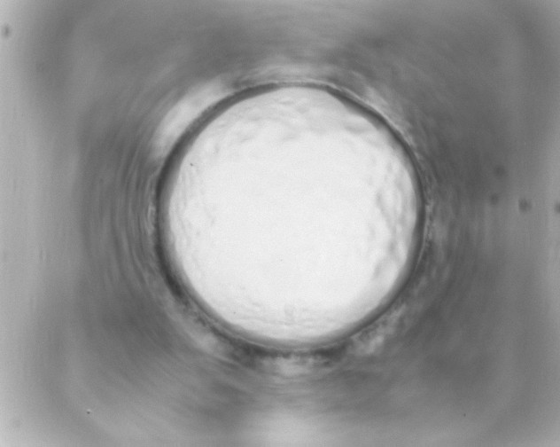 X0000088640103200706151952