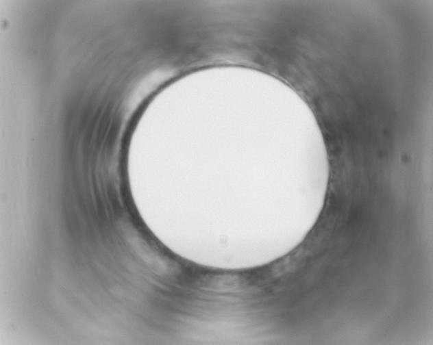 X0000088640104200706151952