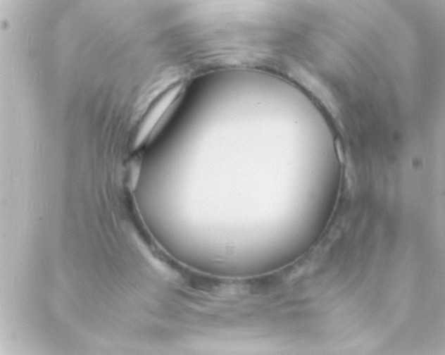 X0000088640105200706151952