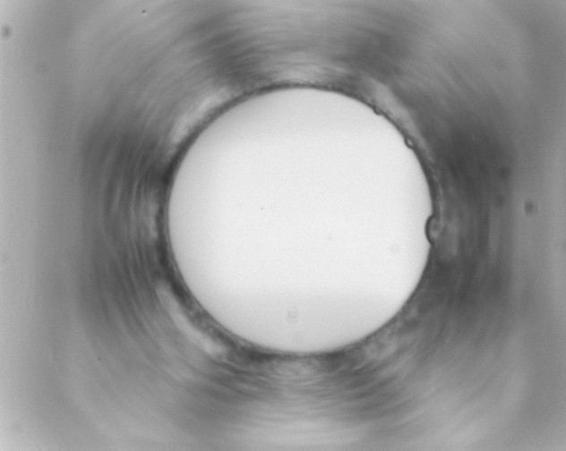 X0000088640106200706151952