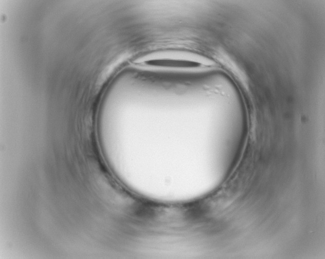 X0000088640107200706151952