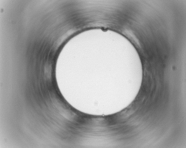 X0000088640108200706151952