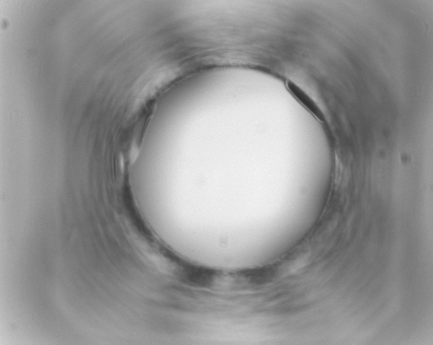 X0000088640109200706151952