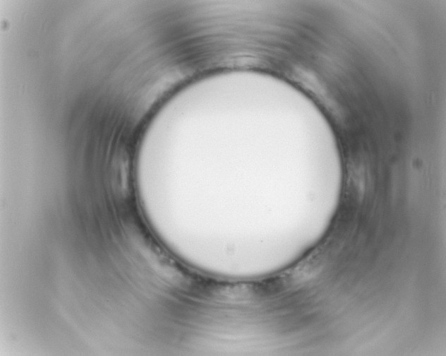 X0000088640110200706151952