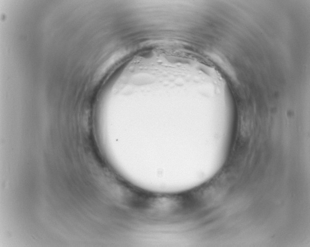 X0000088640111200706151952